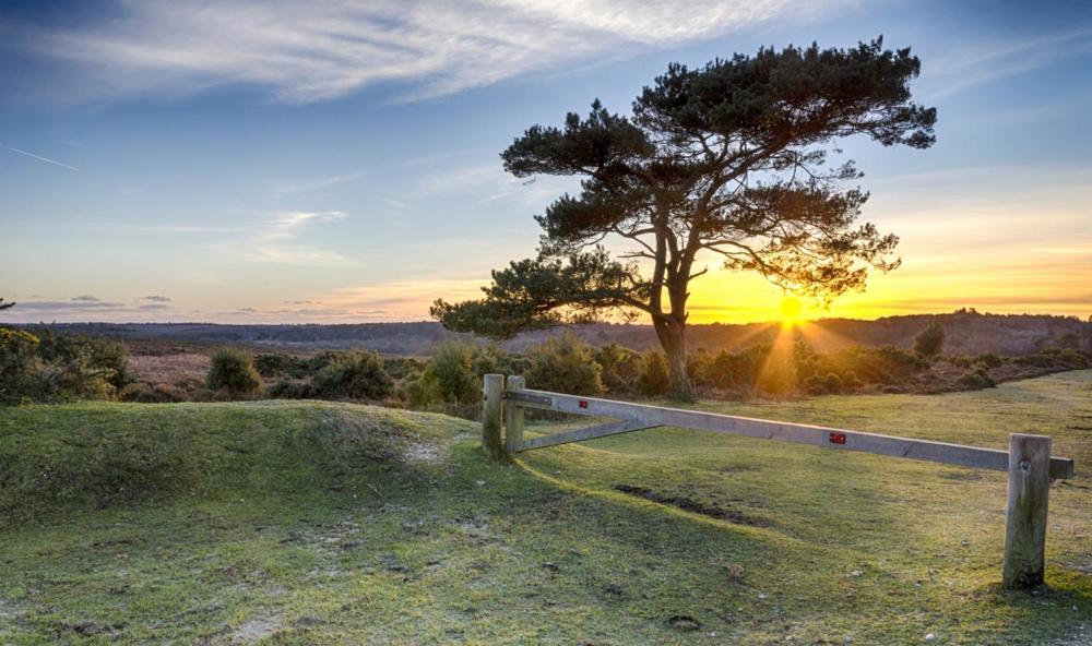 The Knightwood Oak A Luxury King Size En-Suite Space - Lymington New Forest With Totally Private Entrance - Key Box Entry - Free Parking & Private Outdoor Seating Area - Town ,Shops , Pubs & Solent Way Walking Distance & Complimentary Breakfast Items Экстерьер фото